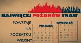 Fotka nr 1 z 3