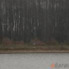 zdjęcie nr 49