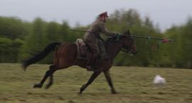 zdjęcie nr 97