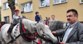 zdjęcie nr 83