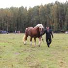 zdjęcie nr 72