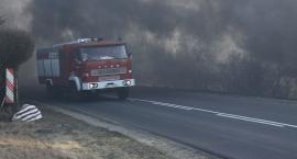 Fotka nr 2 z 20