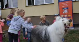 zdjęcie nr 70