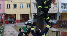 zdjęcie nr 24