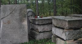zdjęcie nr 46