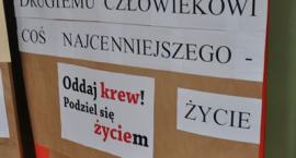 zdjęcie nr 20