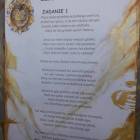 zdjęcie nr 14