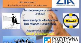 zdjęcie nr 10