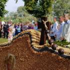 zdjęcie nr 22