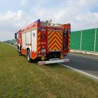Fotka nr 5 z 7