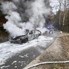 Fotka nr 2 z 3