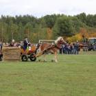 zdjęcie nr 144