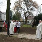 zdjęcie nr 71