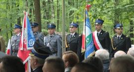 zdjęcie nr 30