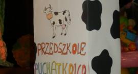 zdjęcie nr 8