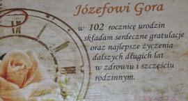 zdjęcie nr 28
