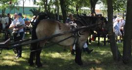 zdjęcie nr 190