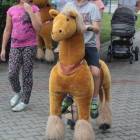 zdjęcie nr 112