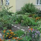 zdjęcie nr 55