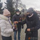 zdjęcie nr 22