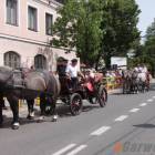 zdjęcie nr 19