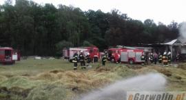 zdjęcie nr 15