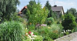 zdjęcie nr 34