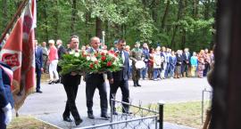 zdjęcie nr 12