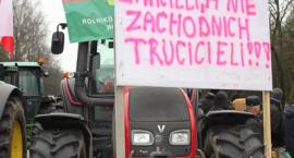 zdjęcie nr 9