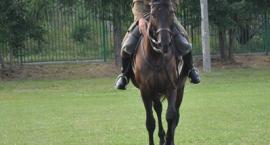 zdjęcie nr 94
