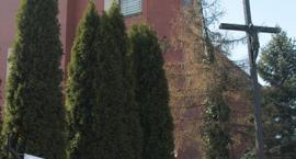 zdjęcie nr 11