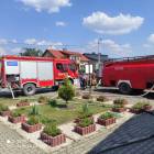 zdjęcie nr 8