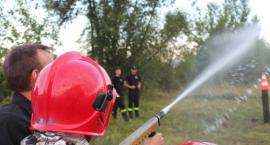 Fotka nr 5 z 72