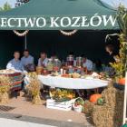 zdjęcie nr 87