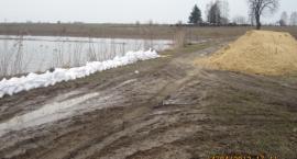 zdjęcie nr 30