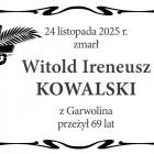 zdjęcie nr 9