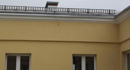 zdjęcie nr 8