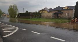 zdjęcie nr 14