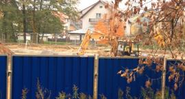 zdjęcie nr 8