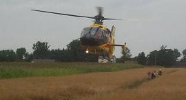 zdjęcie nr 7