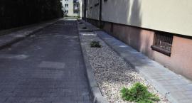 zdjęcie nr 25