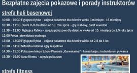Fotka nr 1 z 2
