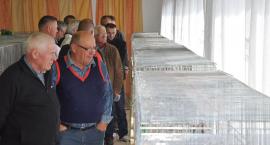 zdjęcie nr 33