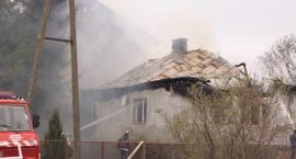 zdjęcie nr 46