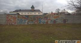 Fotka nr 2 z 16