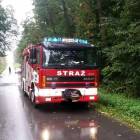 Fotka nr 4 z 5