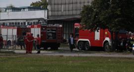 zdjęcie nr 16