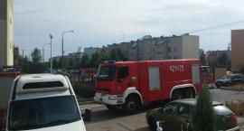 zdjęcie nr 7