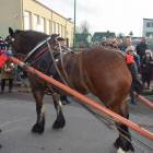 zdjęcie nr 49