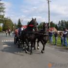 zdjęcie nr 114